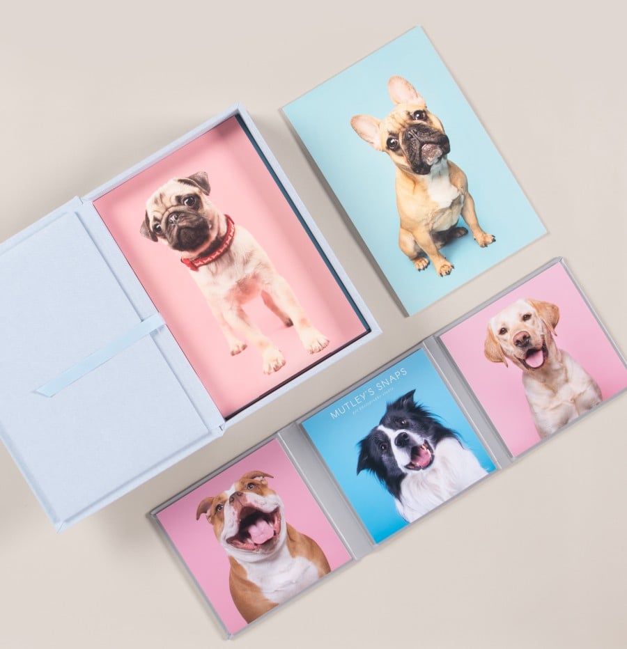 5 Tips from The Pet Photographers Club for Streamlining Your Business